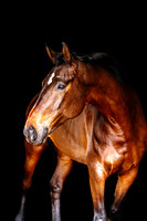 Mirage-MMT0125-61