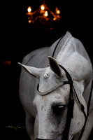 Khaleesi-ar0824-08