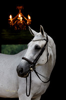 Khaleesi-ar0824-02