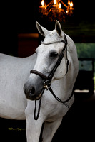 Khaleesi-ar0824-03