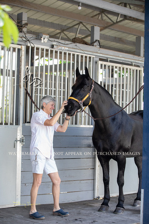 Horse by Horse-HBH0422-19