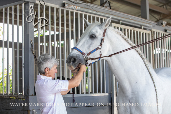 Horse by Horse-HBH0422-83