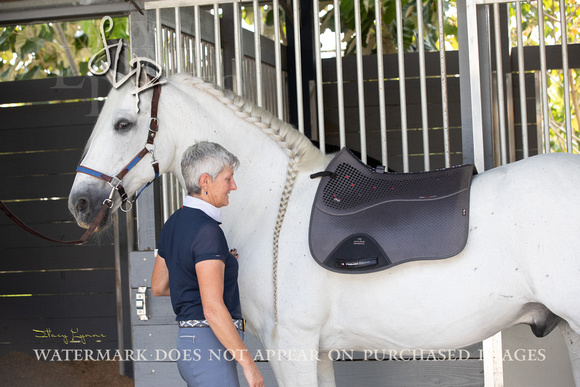 Horse by Horse-HBH0422-145