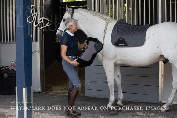 Horse by Horse-HBH0422-122