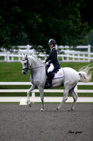 Dressage at the Park 2020