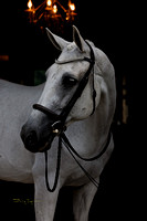 Khaleesi-ar0824-05