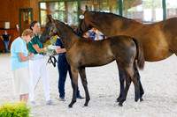 St Sascha HTF-ahshtf0724-08