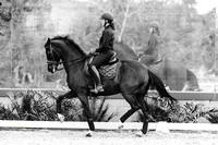 Lauren Chumley Dressage 01-25
