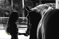 16 Hands Farm 01-25