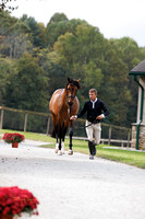 Un Hero DUrano Gulden Bit Z-jog-NASST24-11
