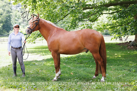 Pete-SFD0624-04