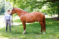 Pete-SFD0624-03