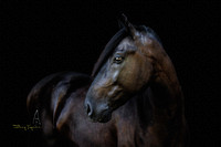 Nugget-16h0824-60